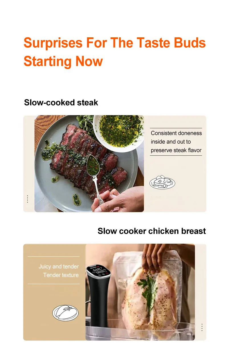 Cuiseur Sous Vide à Immersion 1800W avec Affichage LED Digital