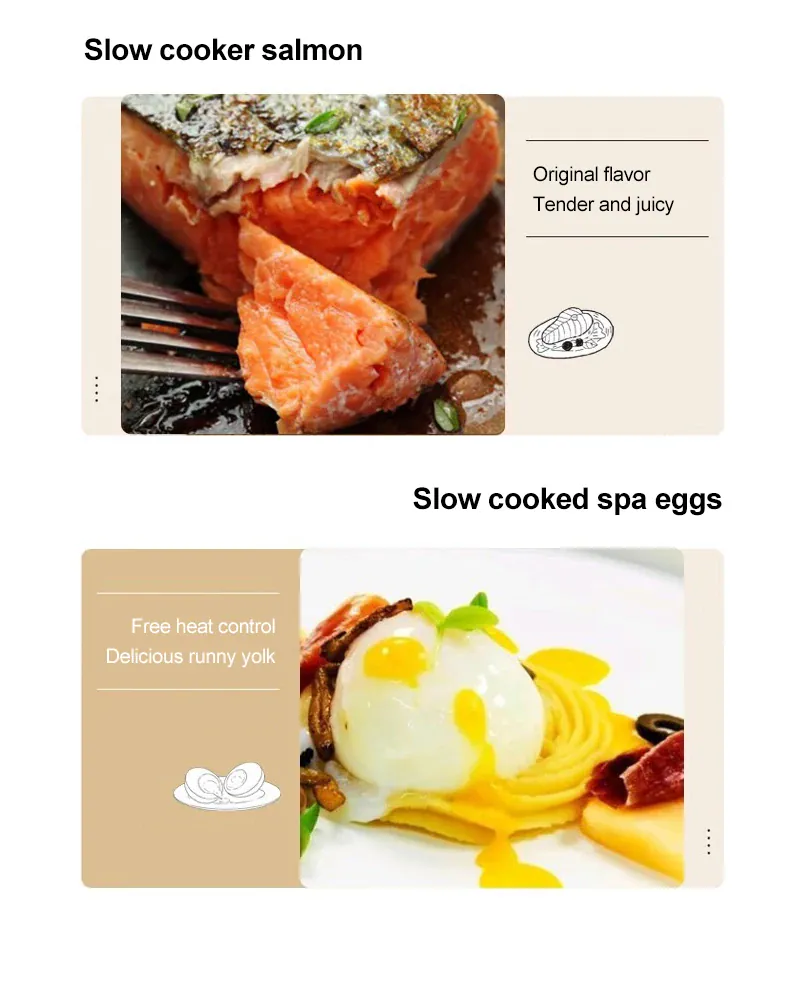 Cuiseur Sous Vide à Immersion 1800W avec Affichage LED Digital