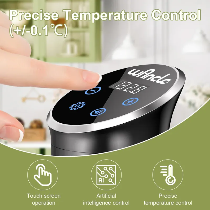 Cuiseur Sous Vide à Immersion 1100W IPX7 Écran Tactile Précision ±0,1 °C