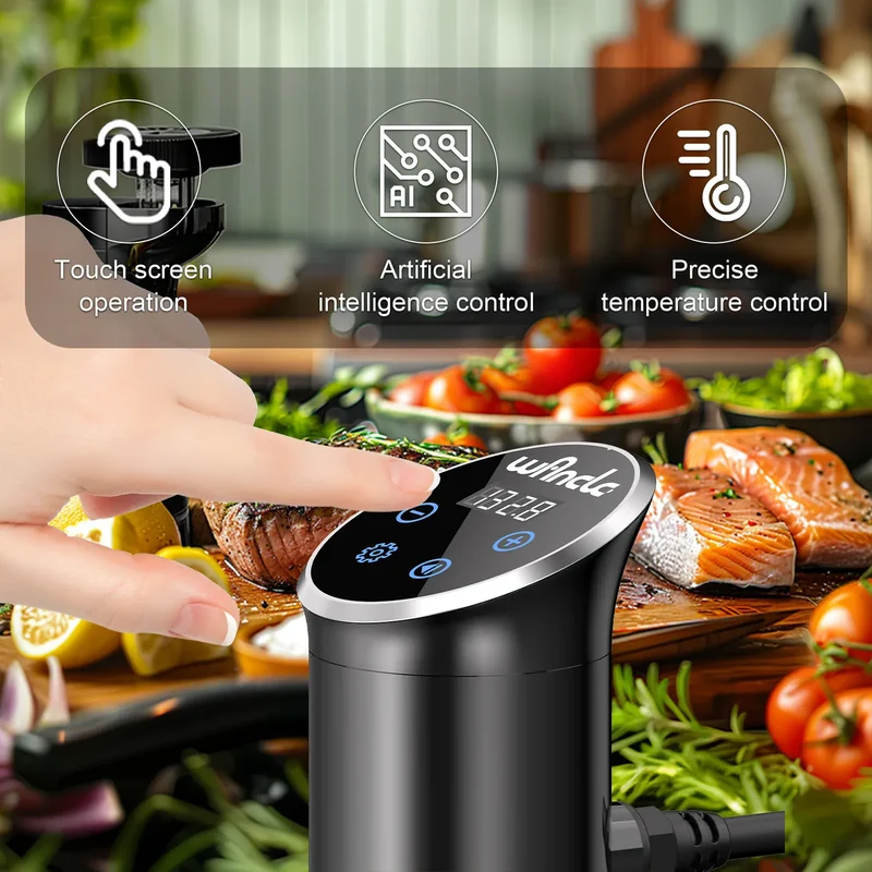 Cuiseur Sous Vide à Immersion 1100W IPX7 Écran Tactile Précision ±0,1 °C