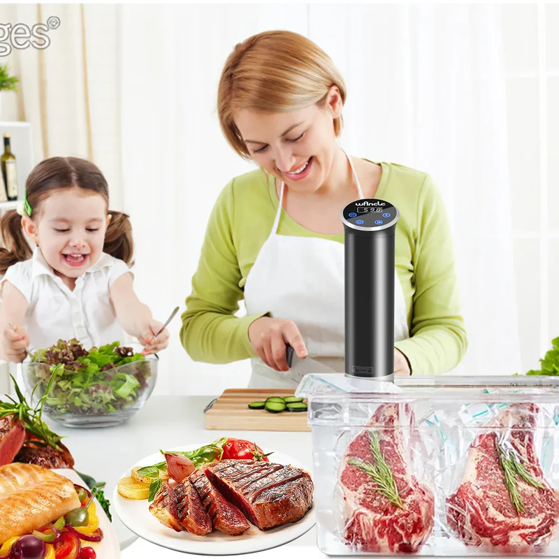 Cuiseur Sous Vide à Immersion 1100W IPX7 Écran Tactile Précision ±0,1 °C