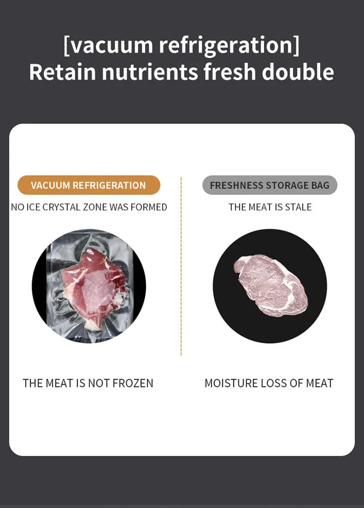 Scelleuse Alimentaire Portable Automatique pour Mise Sous Vide