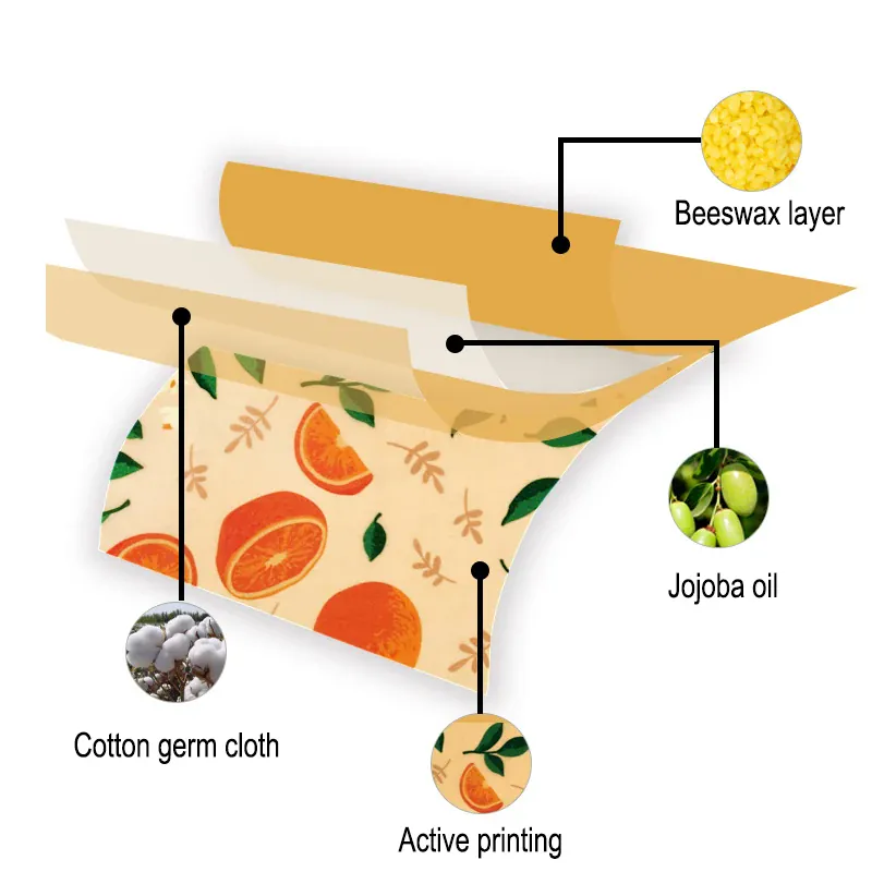 Film Alimentaire Cire d'Abeille Lot de 3 Motifs Écologiques