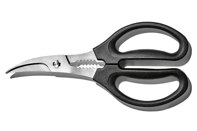 Sécateur à crustacés Oxo à lame dentée incurvée