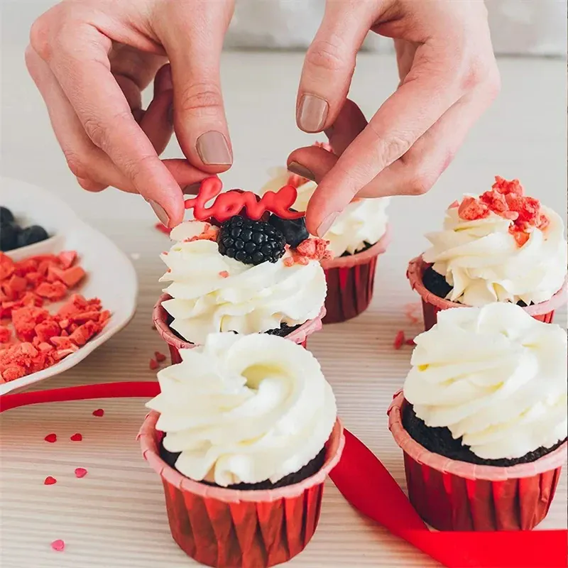 Douilles à pâtisserie en inox 13 pièces avec poches à douille décoratives