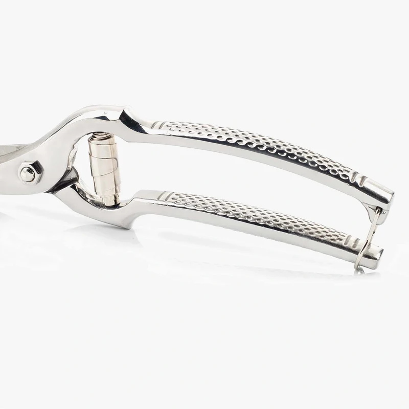 Tijeras de Pollo Acero inoxidable forjado Serie Ecopro 250 mm