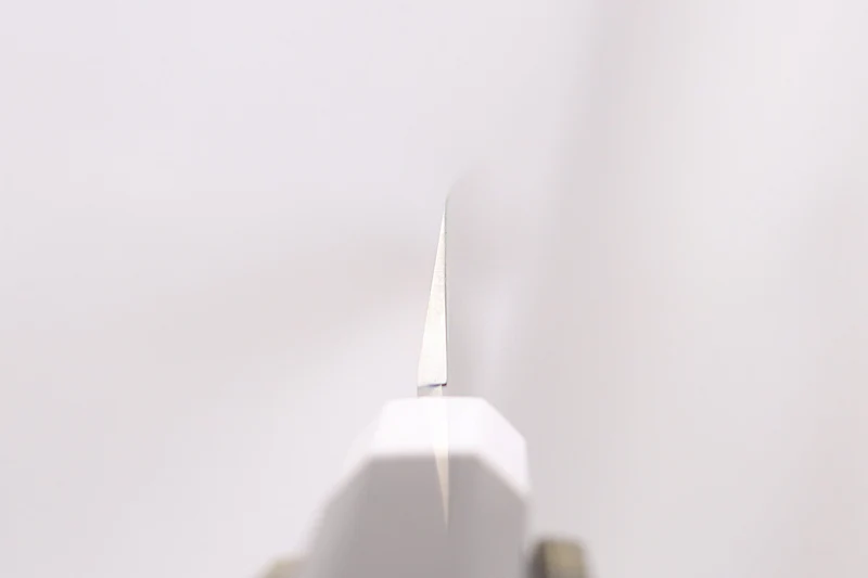 Couteau sakimaru 30cm japonais artisanal Sakai Takayuki Ginryu
