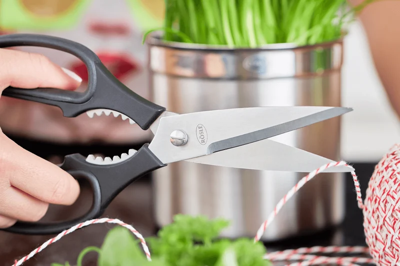 Ciseaux de cuisine Rosle lame en acier microdentée 10cm