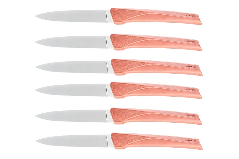 Coffret 6 couteaux Kiana de table lame inox 10,4cm manche terracotta