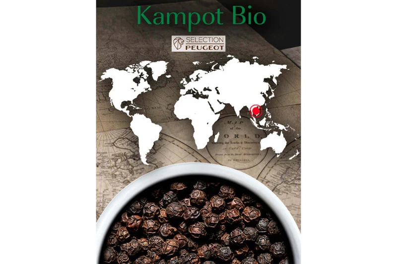 Coffret de 3 sachets fraîcheur Peugeot poivre noir Kampot du Cambodge - 3x20g