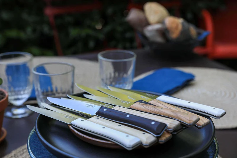 Coffret 4 couteaux de table Opinel Facette Panaché lame 11cm inox lisse