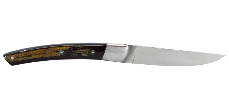 Couteau Le Thiers Manche en Corne de Buffle