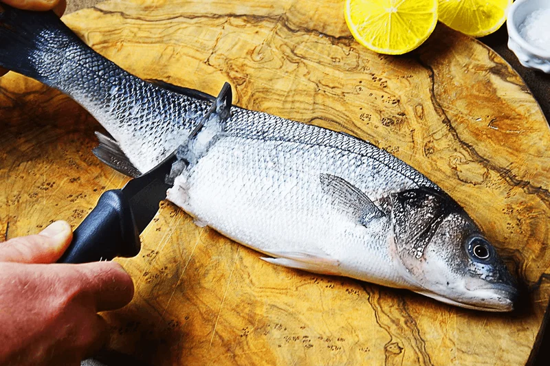 Couteau Marttiini Fish Cleaner 175019 lame 10cm manche caoutchouc + étui