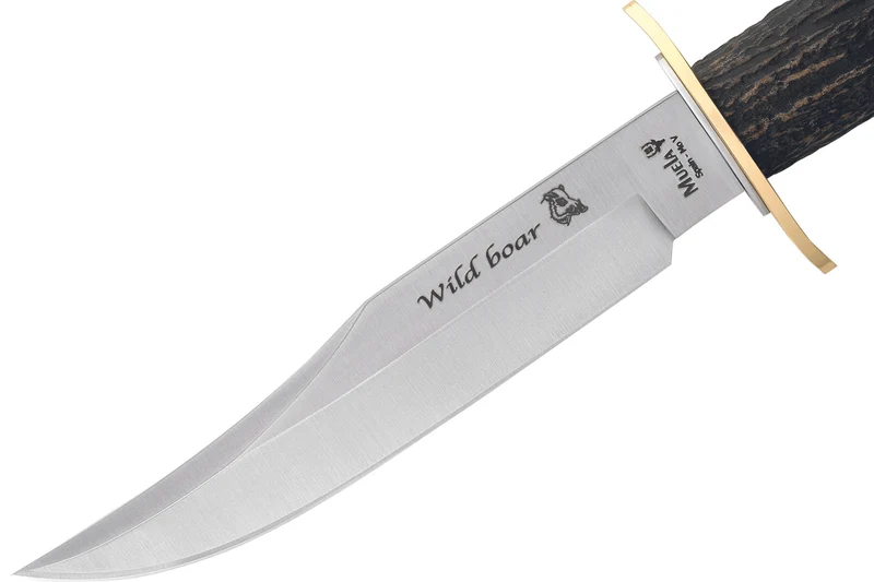 Couteau Muela Wildboar 9299 lame en inox 16cm manche en bois de Cerf + étui en cuir et coffret