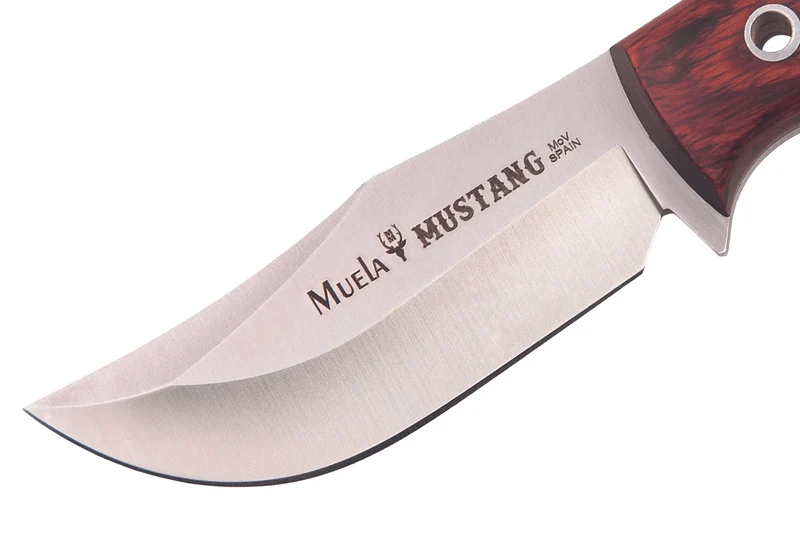 Couteau Muela Mustang 9332 lame en inox 8cm manche en stamina + étui en cuir