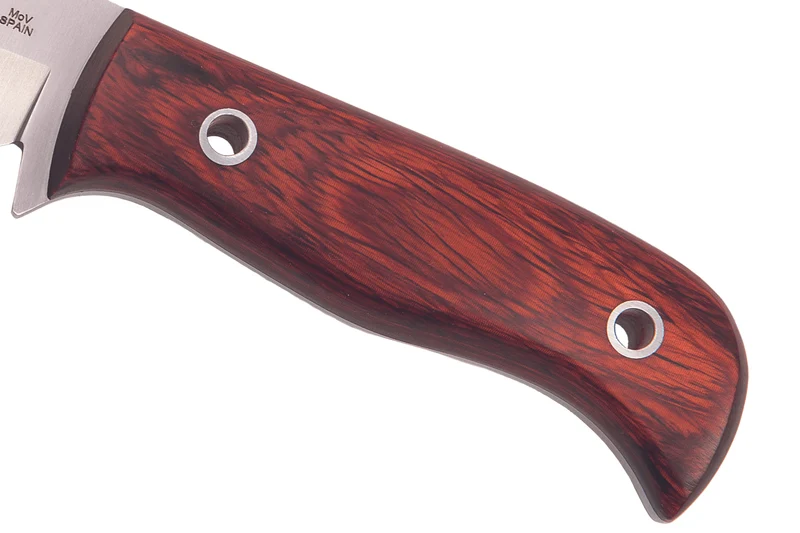 Couteau Muela Mustang 9332 lame en inox 8cm manche en stamina + étui en cuir