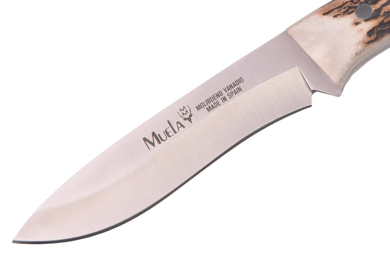 Couteau Muela Comf 9328 lame en inox 11cm manche en bois de Cerf