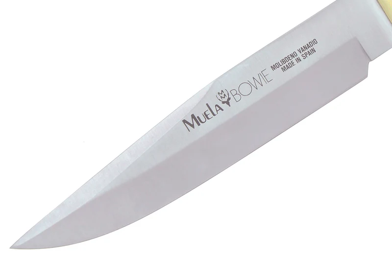 Couteau Muela Bowie 9310 lame en inox 18cm manche en stamina wood