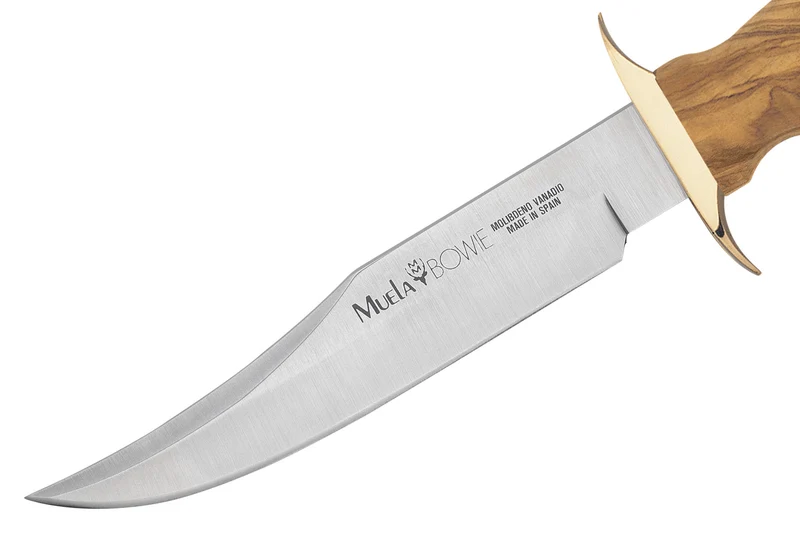Couteau Muela Bowie 9271 lame en inox 16cm manche en bois d'olivier + étui en cuir