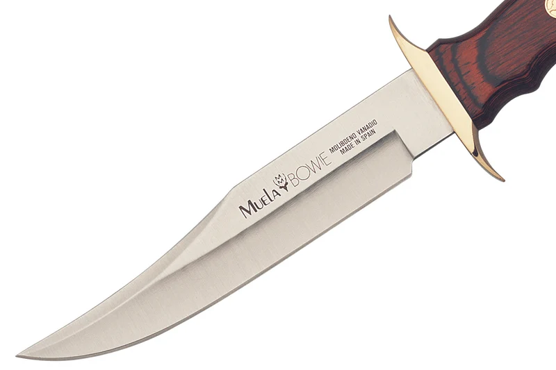 Couteau Muela Bowie 9238 lame en inox 16cm manche en bois de stamina + étui en cuir