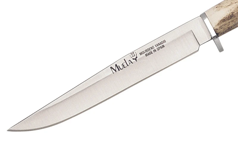 Couteau Muela Gredos 9218 lame en inox 14cm manche en bois de cerf + étui en cuir