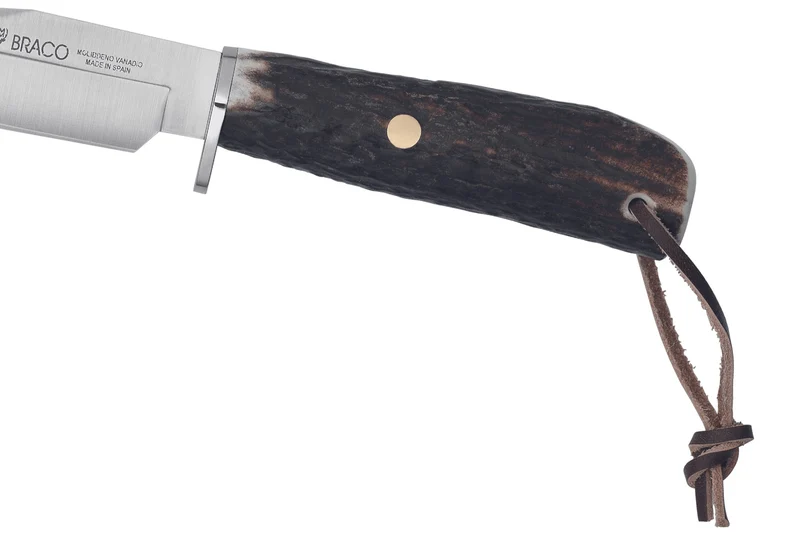 Couteau Muela Braco 9275 lame 11cm en inox manche en bois de cerf avec lacet + étui en cuir