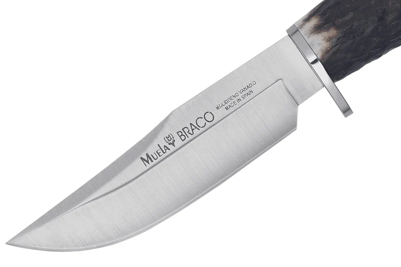 Couteau Muela Braco 9275 lame 11cm en inox manche en bois de cerf avec lacet + étui en cuir