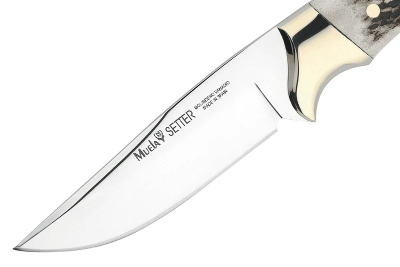 Couteau Muela Setter 9266 lame 11cm en inox manche en bois de cerf + étui en cuir