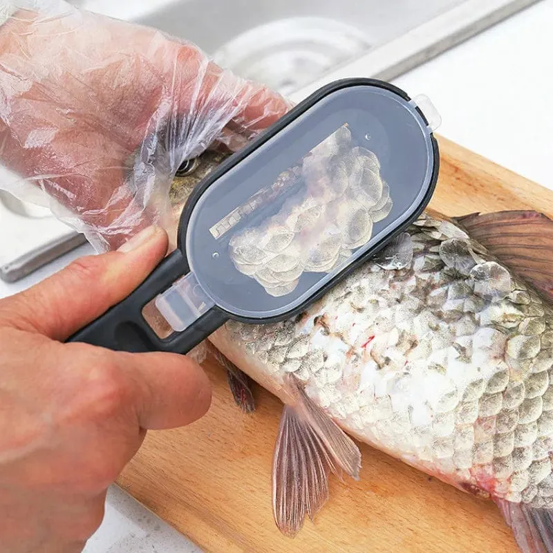 Brosse à Écailler le Poisson