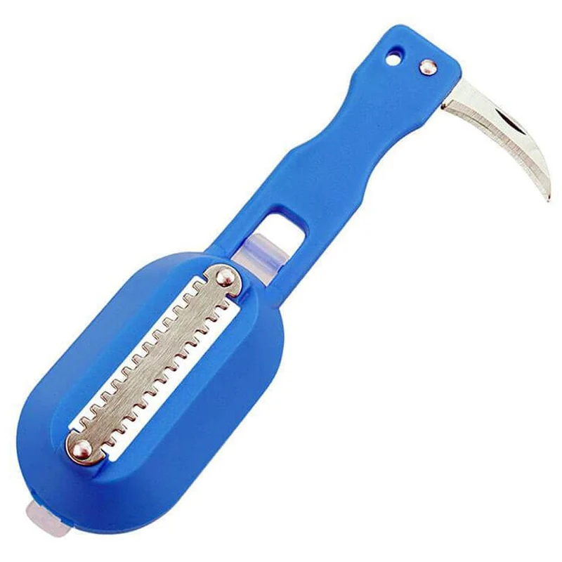 Brosse à Écailler le Poisson