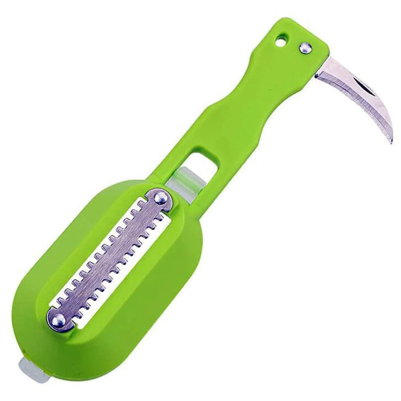 Brosse à Écailler le Poisson