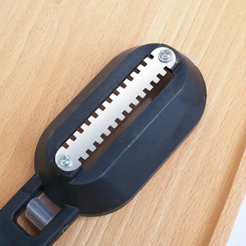 Brosse à Écailler le Poisson