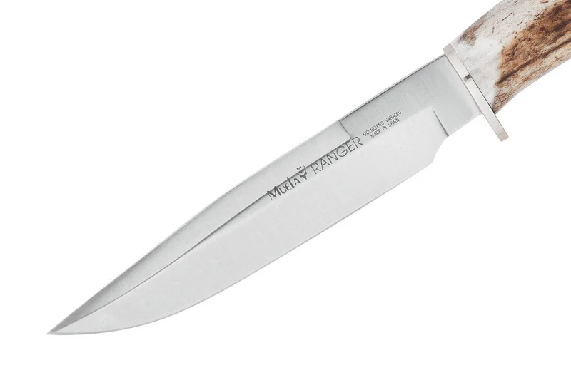 Couteau Muela Ranger 9251 lame 14cm manche en bois de cerf avec départ d'épois + étui en cuir