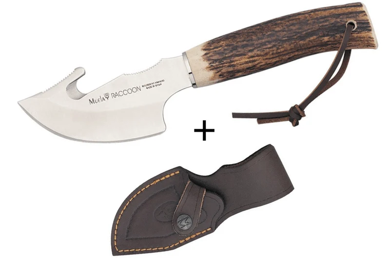 Couteau Muela Raccoon 9232 lame 8cm en inox manche en bois de cerf + étui en cuir
