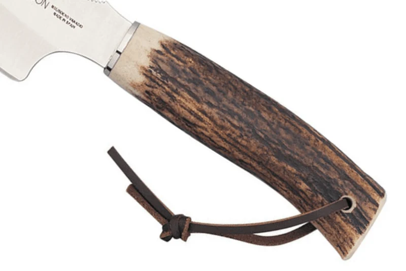 Couteau Muela Raccoon 9232 lame 8cm en inox manche en bois de cerf + étui en cuir
