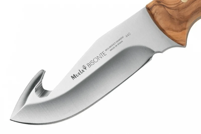 Couteau Muela Bisonte 9224 lame 11,5cm manche en bois d'olivier + étui en cuir