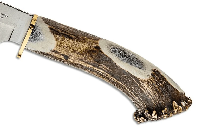 Couteau Muela Viper 9215 lame 11cm manche en bois de cerf + étui en cuir