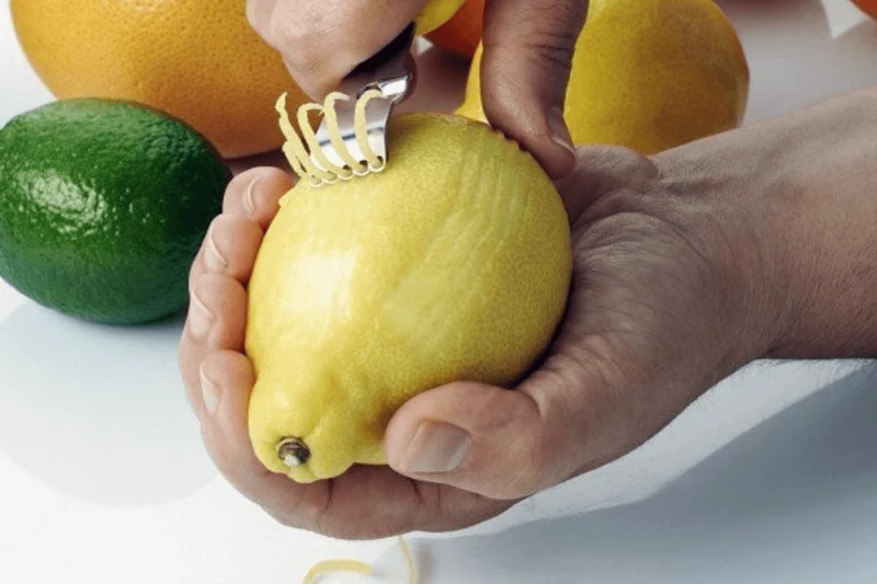 Zesty 4 en 1 multifonction manche en polypropylène avec 2 étuis de protection