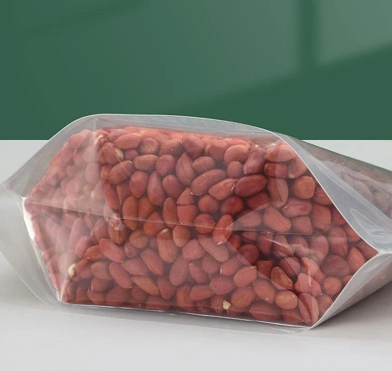 Sacs de Conservation avec poignée et verseur refermable (10 sacs)
