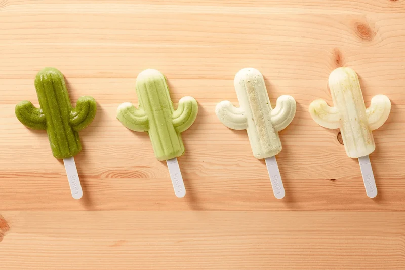 Moule à glace Lékué en silicone Platinum - Forme cactus