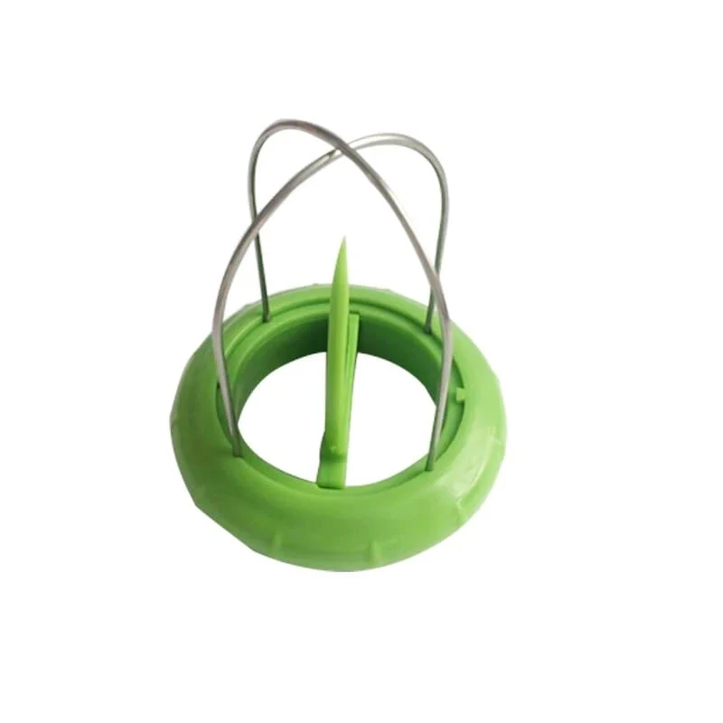 Coupe Kiwi