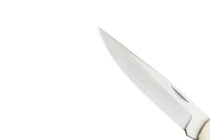 Couteau pliant Herbertz 259311 manche bois de cocobolo 10,7cm