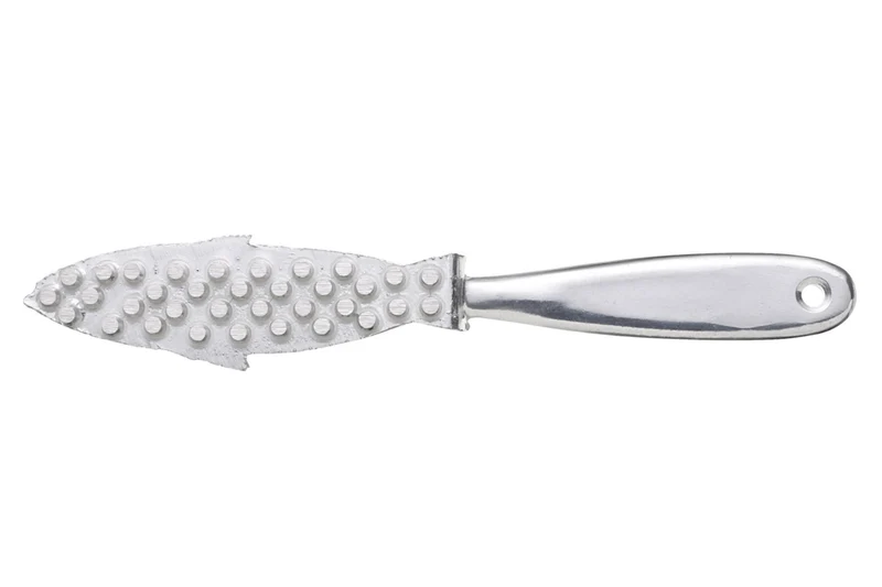 Ecailleur à poisson KitchenCraft en acier inoxydable 21cm