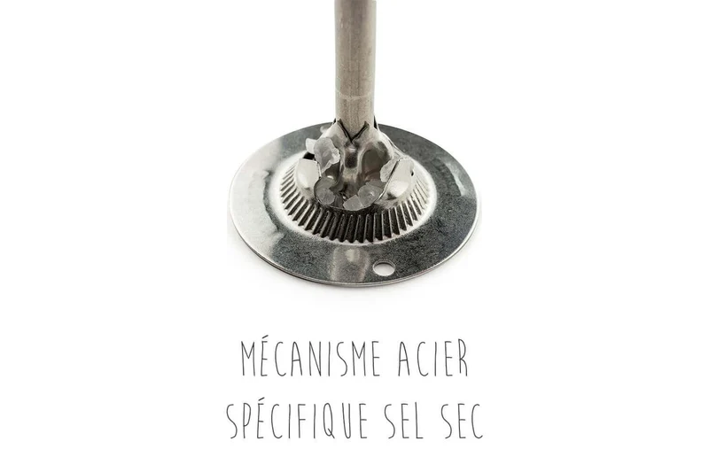 Moulin à épices manuel Peugeot Line Carbone 12cm