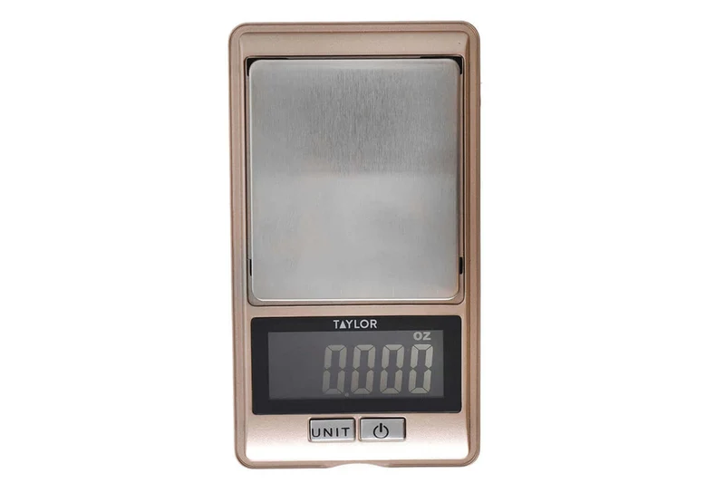 Balance de cuisine de précision Taylor Pro en acier inoxydable capacité 500g