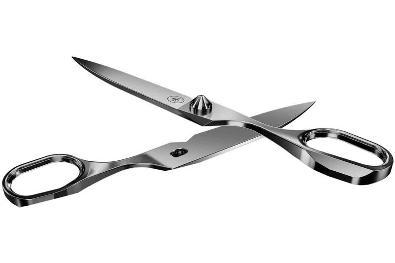 Ciseaux professionnels HORL® haut de gamme séparables