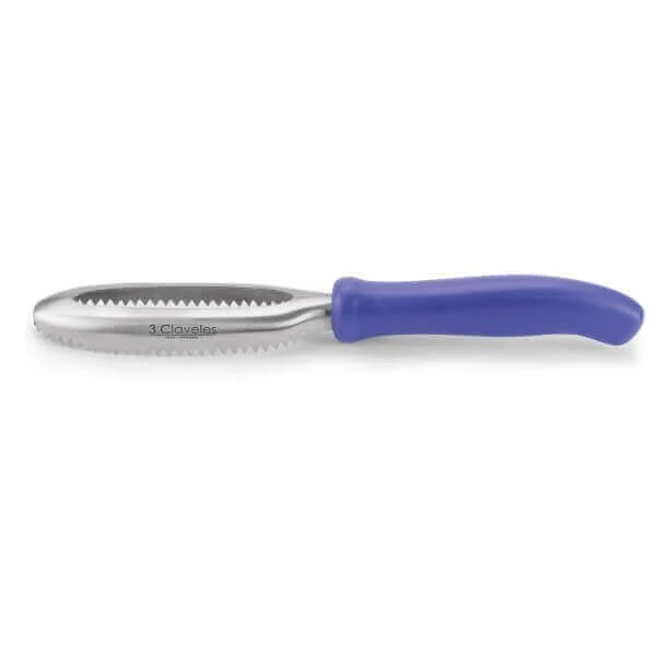 Ecailleur inox Professionnel 27cm 3 Claveles