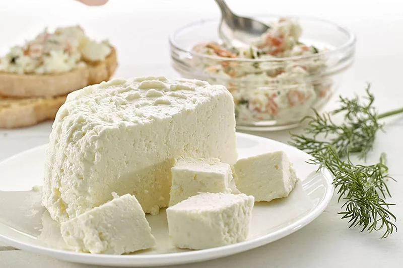 Kit préparation de fromage fait maison Lékué Cheese Maker + Livre de recettes