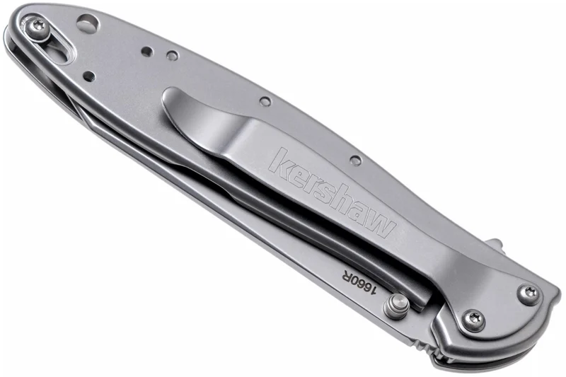 Couteau pliant Kershaw Random Leek KS.1660R manche en acier inox 10,2cm