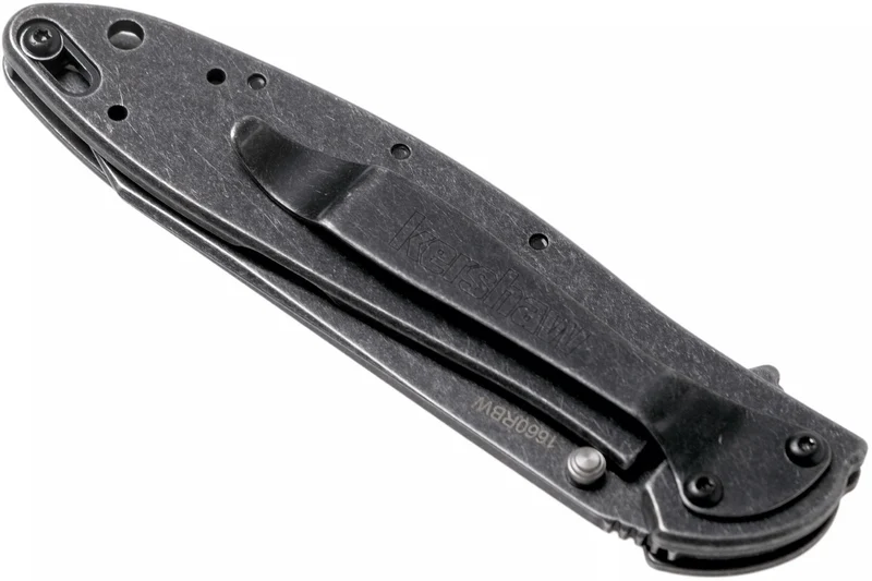 Couteau pliant Kershaw Random Leek Blackwash KS.1660RBW manche en acier inox 10,2cm